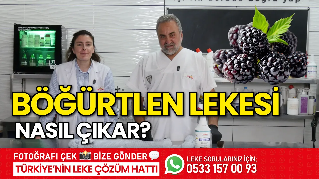 Böğürtlen Lekesi Nasıl Çıkar?